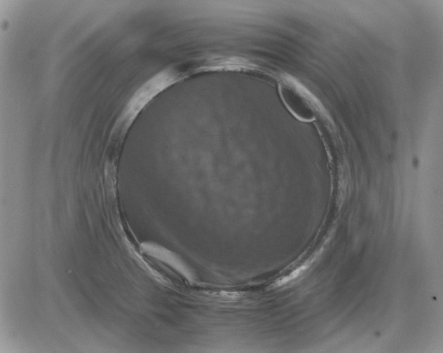 X0000081471329200701261953