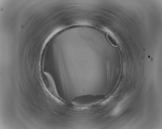 X0000081471331200701261953