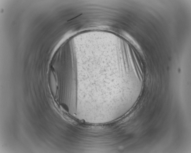 X0000081471332200701261953