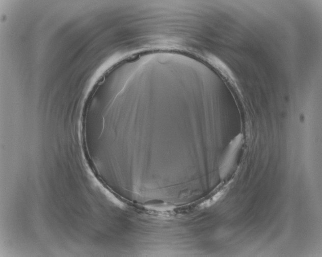 X0000081471334200701261953