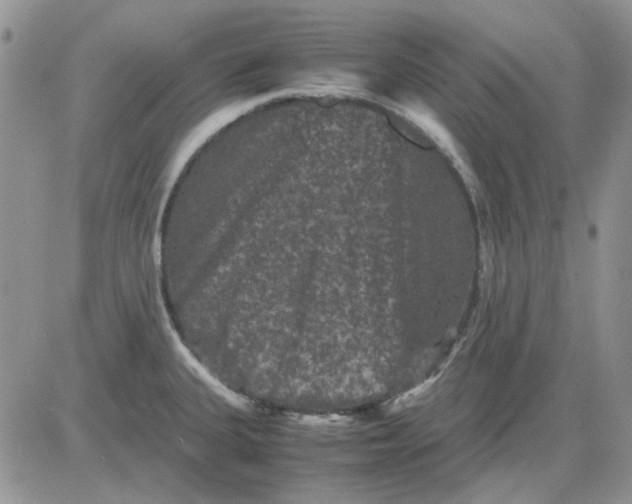 X0000081471335200701261953