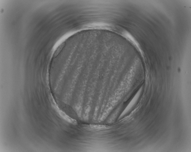 X0000081471336200701261953