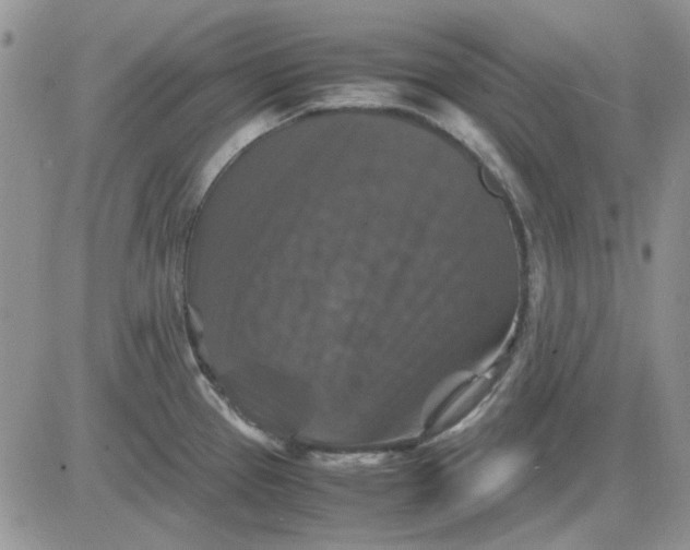 X0000081471337200701261953