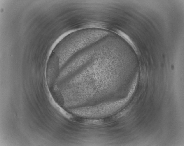 X0000081471339200701261953