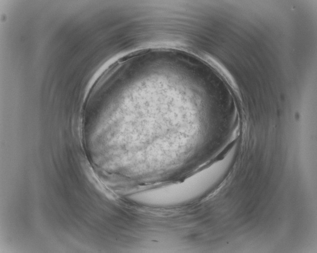 X0000081471340200701261953