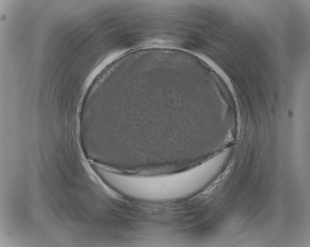 X0000081471341200701261953