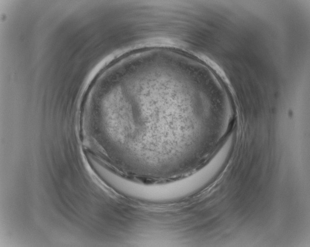 X0000081471342200701261953