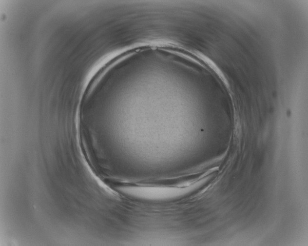 X0000081471343200701261953