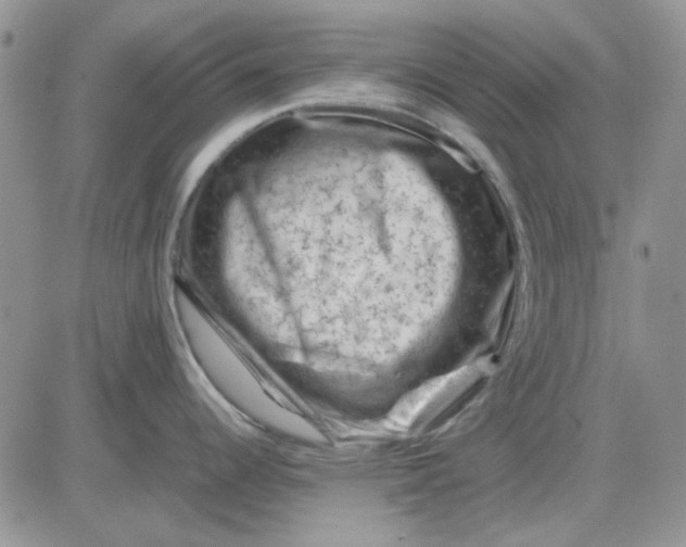 X0000081471344200701261953