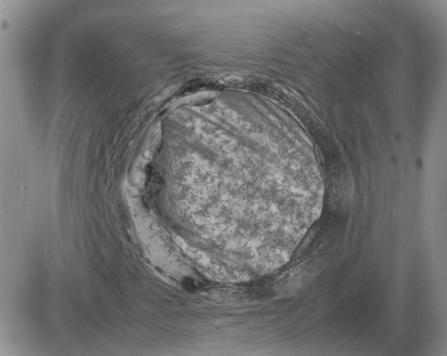 X0000081471345200701261953