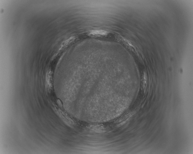 X0000081471346200701261953