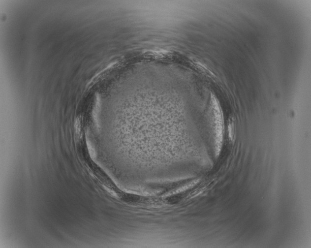 X0000081471347200701261953