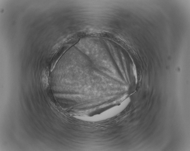 X0000081471348200701261952