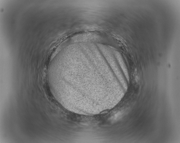 X0000081471349200701261952