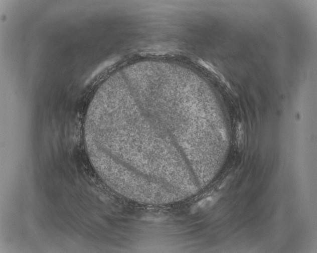 X0000081471350200701261952