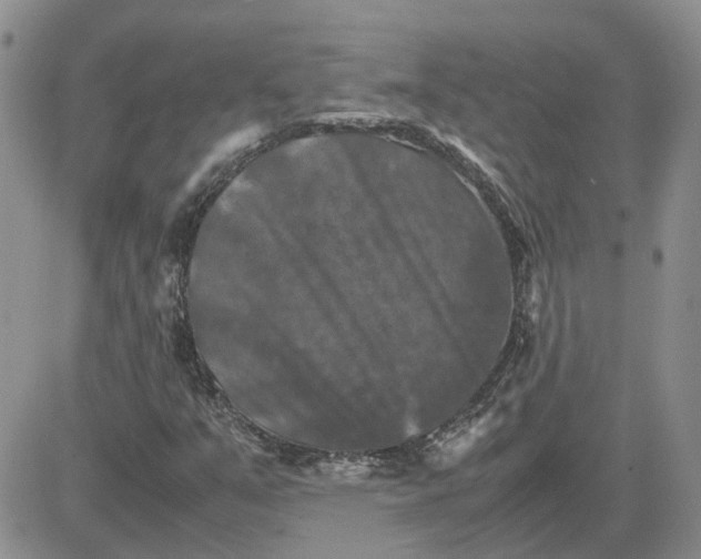 X0000081471351200701261952