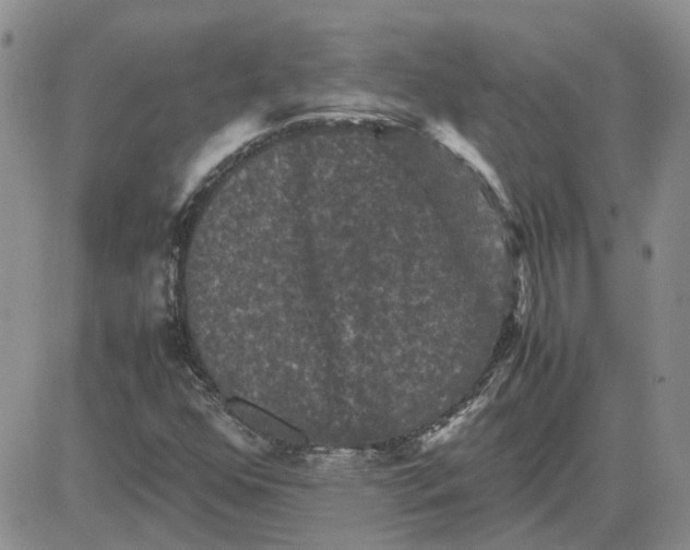 X0000081471352200701261952