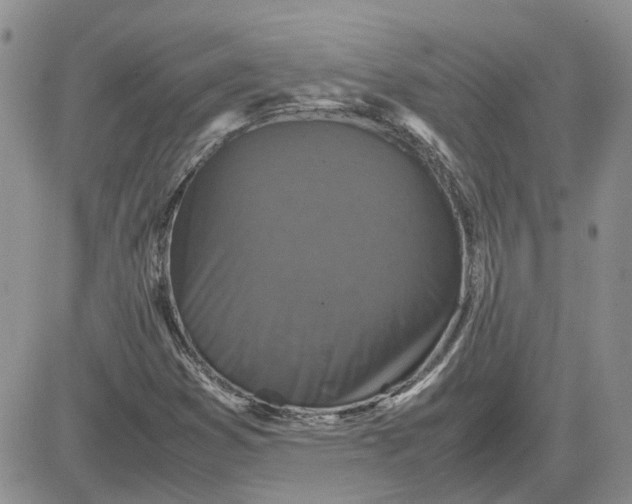 X0000081471353200701261952