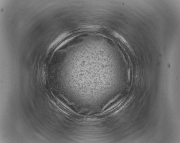 X0000081471354200701261952