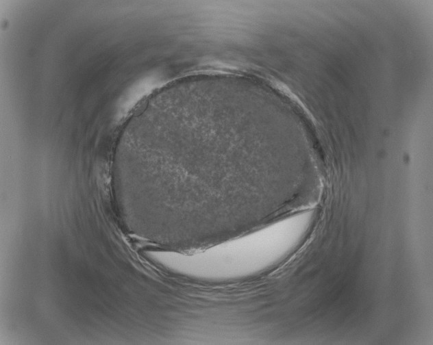 X0000081471355200701261952