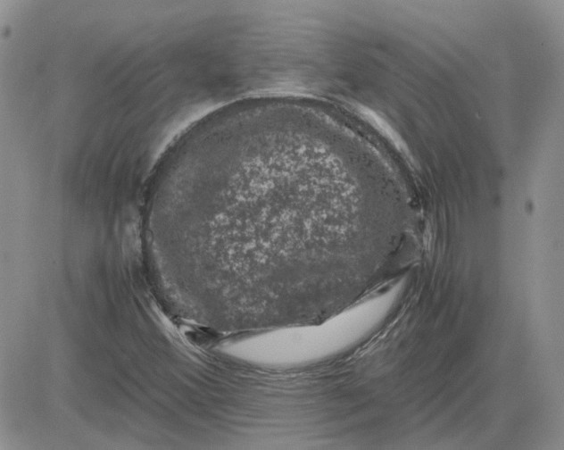 X0000081471356200701261952