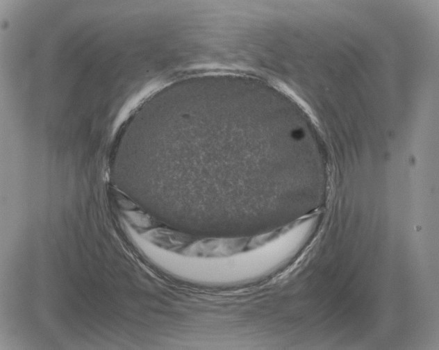 X0000081471357200701261952