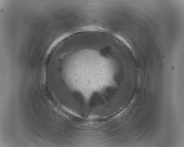 X0000081471358200701261952