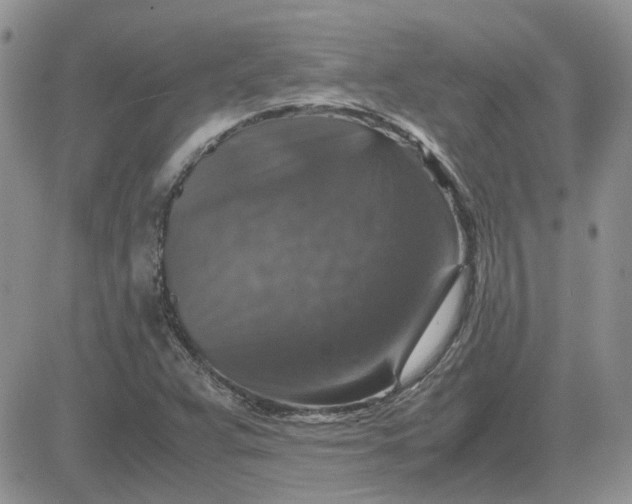 X0000081471359200701261952