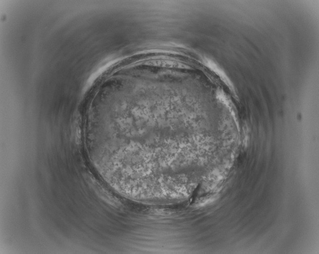 X0000081471360200701261952