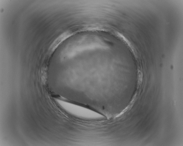 X0000081471361200701261952