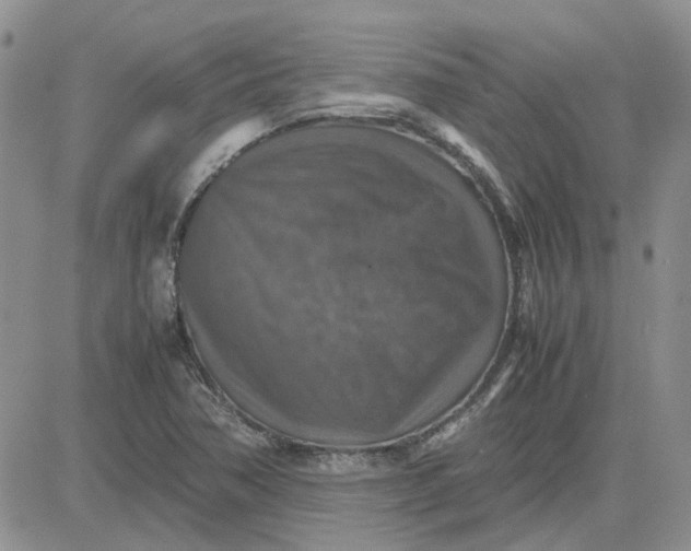 X0000081471362200701261952