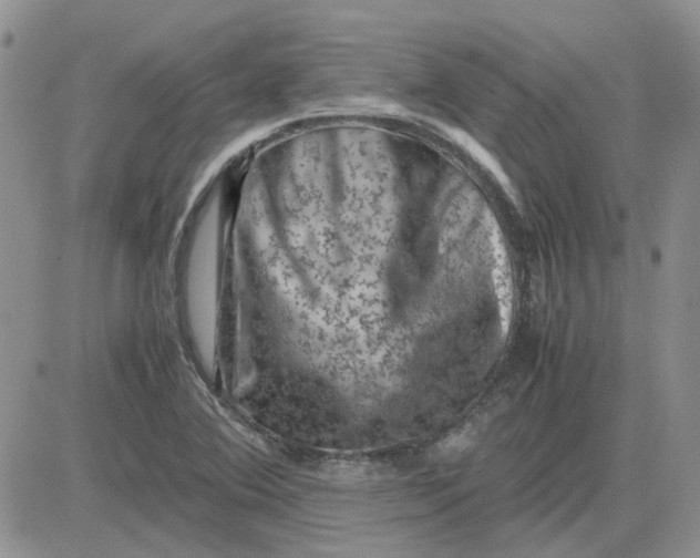 X0000081471364200701261952