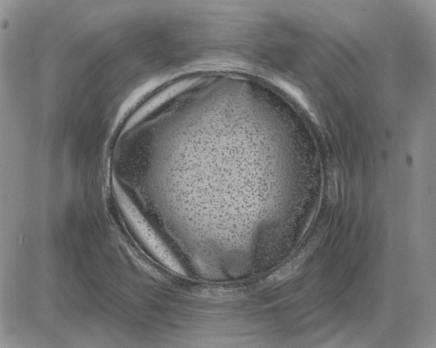 X0000081471366200701261952