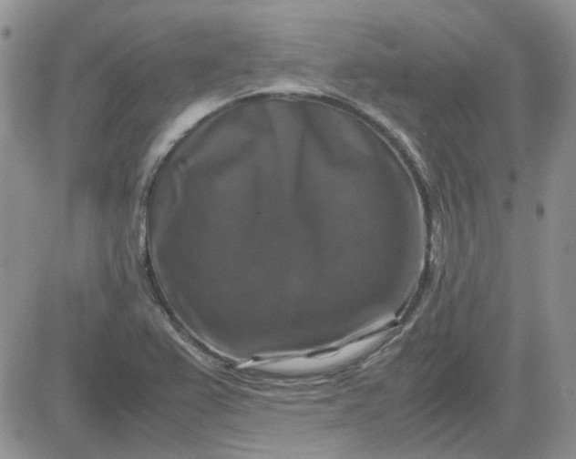 X0000081471367200701261952