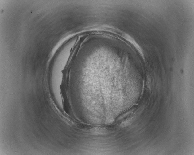 X0000081471368200701261952