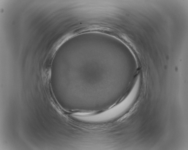 X0000081471369200701261952