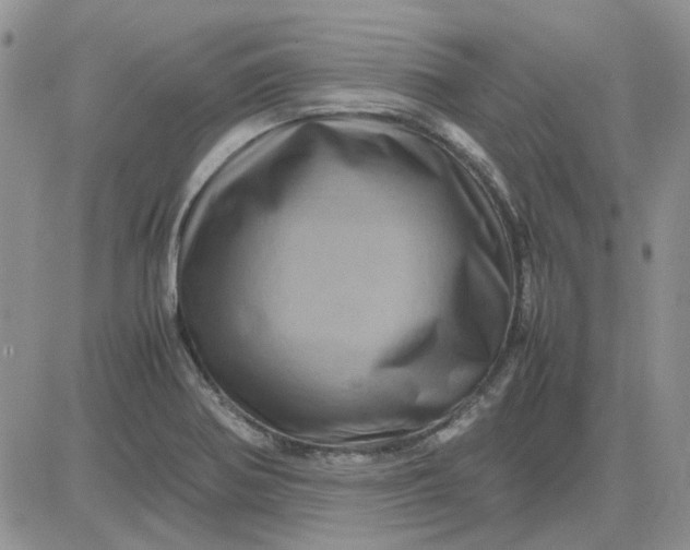 X0000081471370200701261952