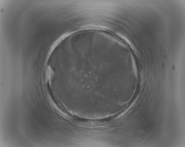 X0000081471371200701261952