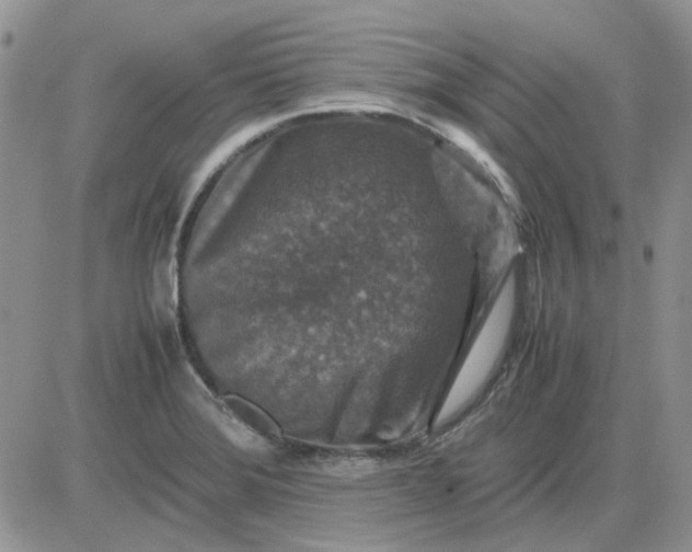 X0000081471372200701261952