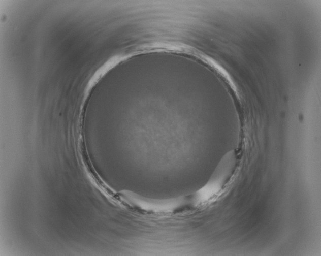 X0000081471373200701261952