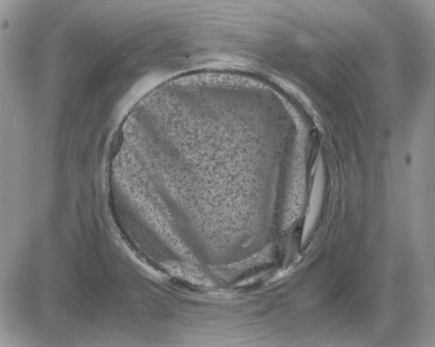 X0000081471375200701261952