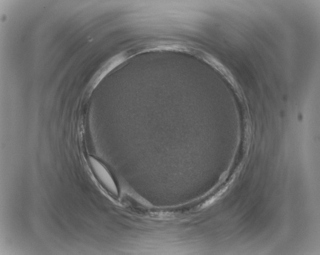 X0000081471377200701261952