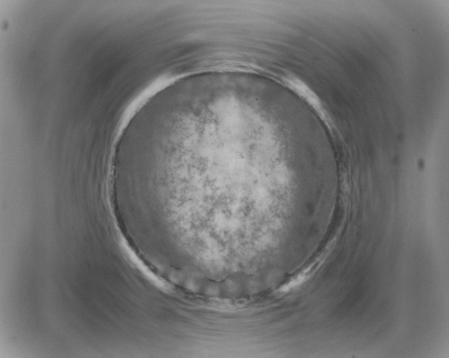 X0000081471379200701261952