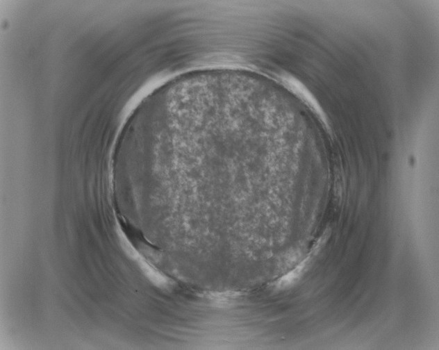 X0000081471380200701261952