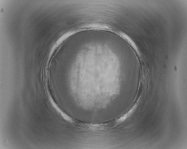 X0000081471381200701261952