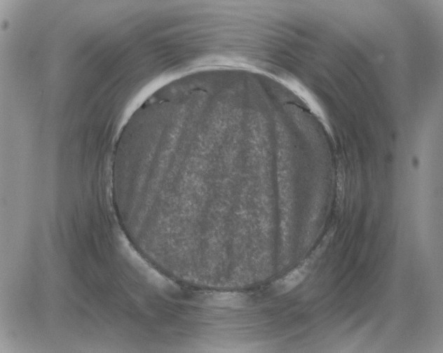 X0000081471382200701261952