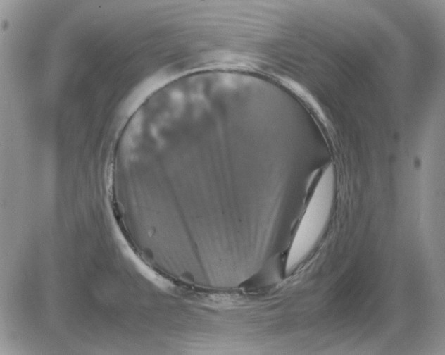 X0000081471383200701261952