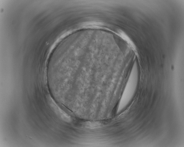 X0000081471384200701261952