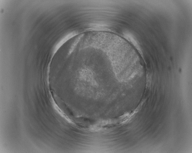 X0000081471386200701261952