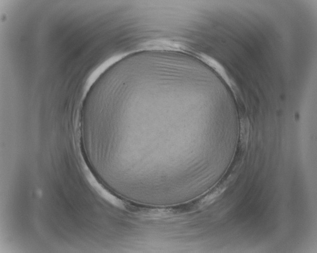 X0000081471387200701261952